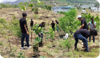 Group planting saplings together during CSR tree plantation drive 